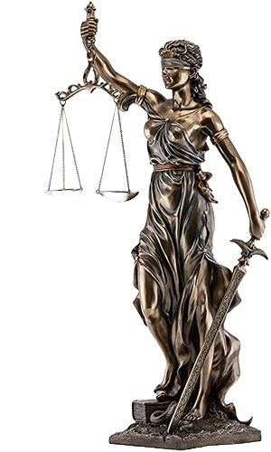 Meet Our Lawyers